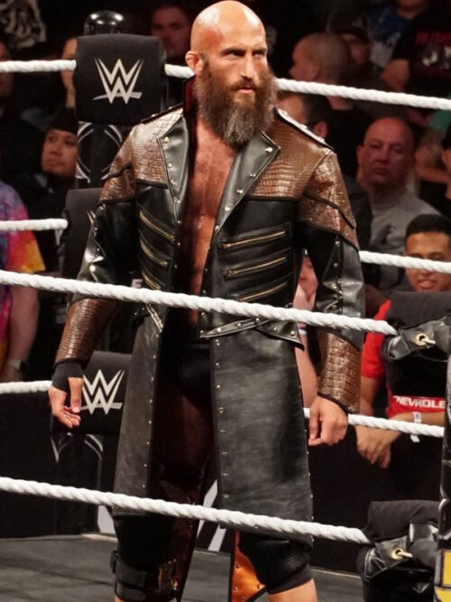 Tommaso Ciampa Brown and Black Leather Tailcoat